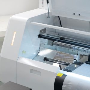 D620 OrcaDTF Printer 10-DTF D620 OrcaDTF Printer-inside